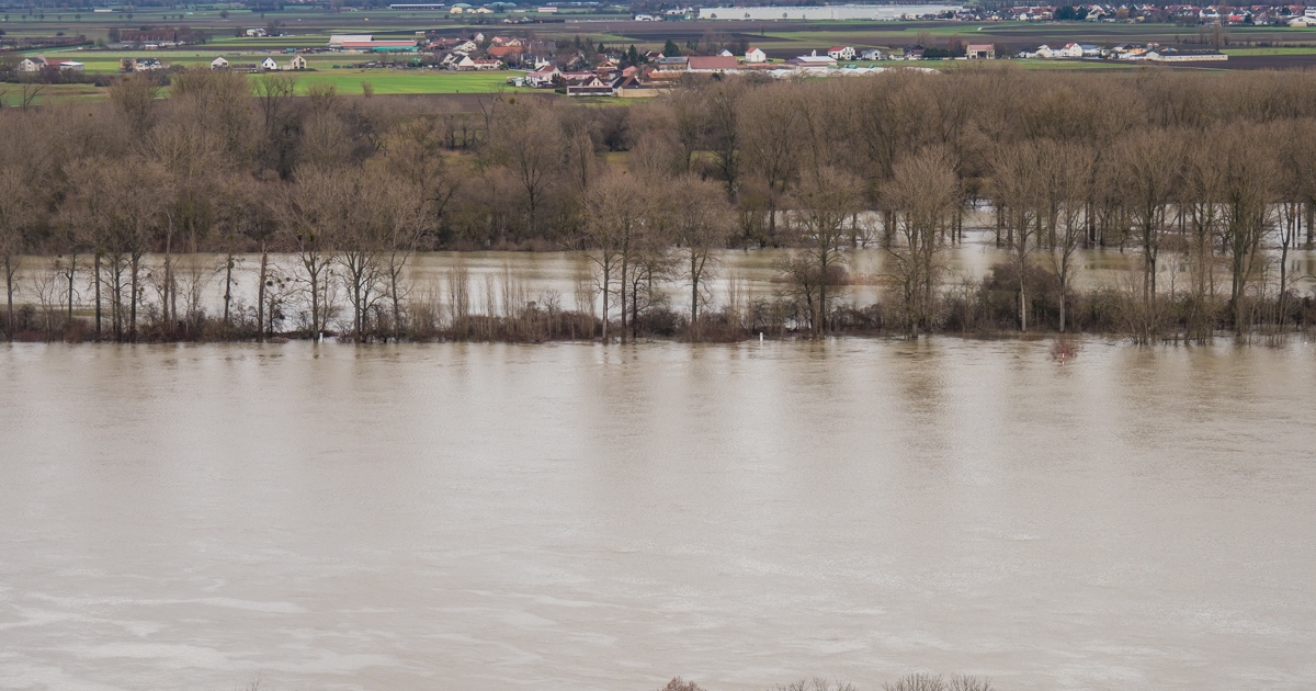 Hochwasser 2021 am Rhein bei Nierstein
