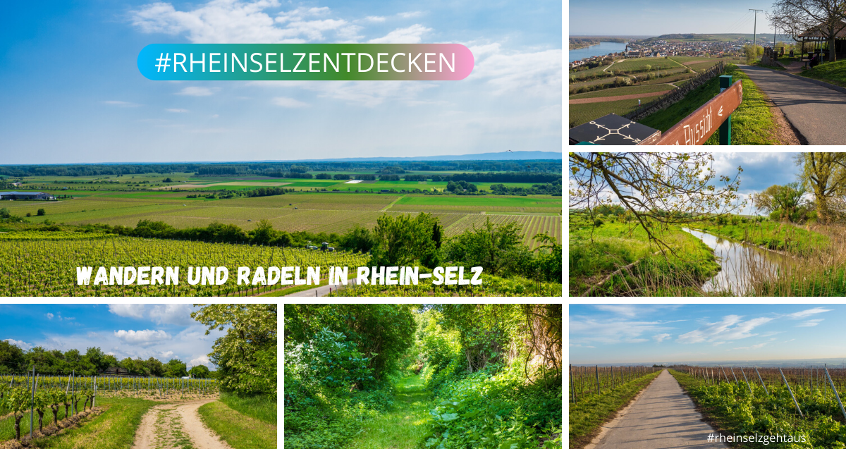 Wandern und Radeln in Rhein-Selz