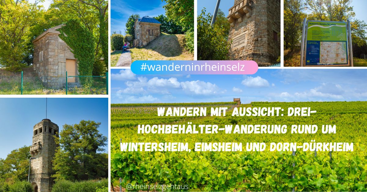 Drei-Hochgehlter-Wanderung-wintersheim-eimsheim-dorndürkheim