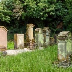 image de Jüdischer Friedhof