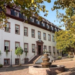 image de Das Leininger Schloss